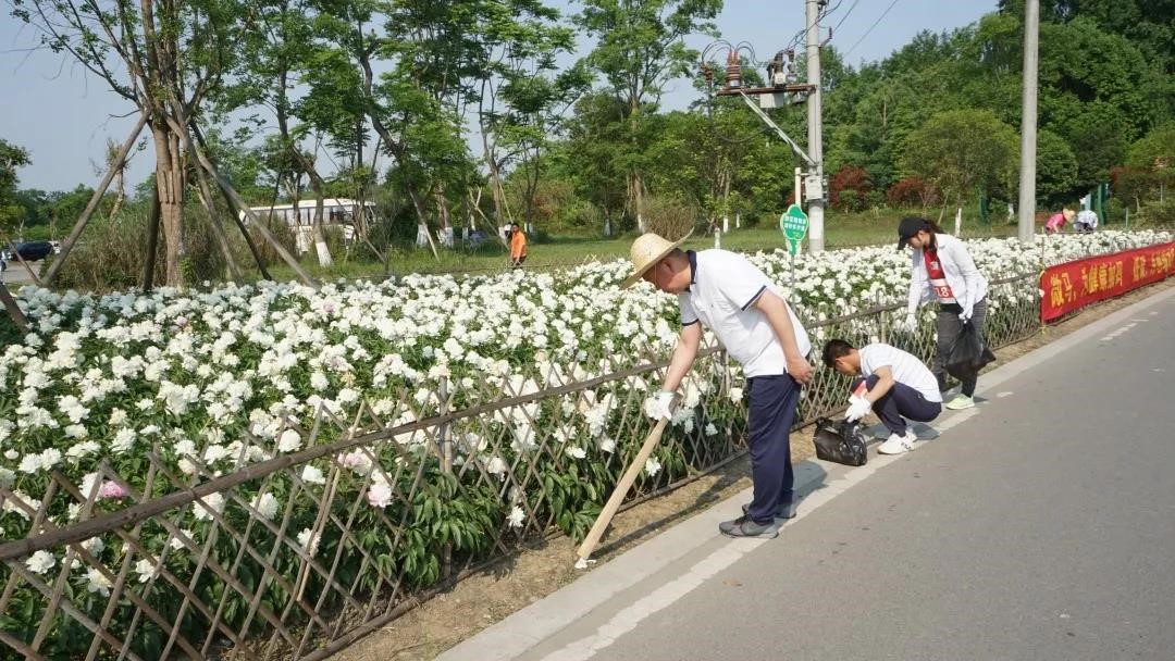 誠瑞拾荒者活動4